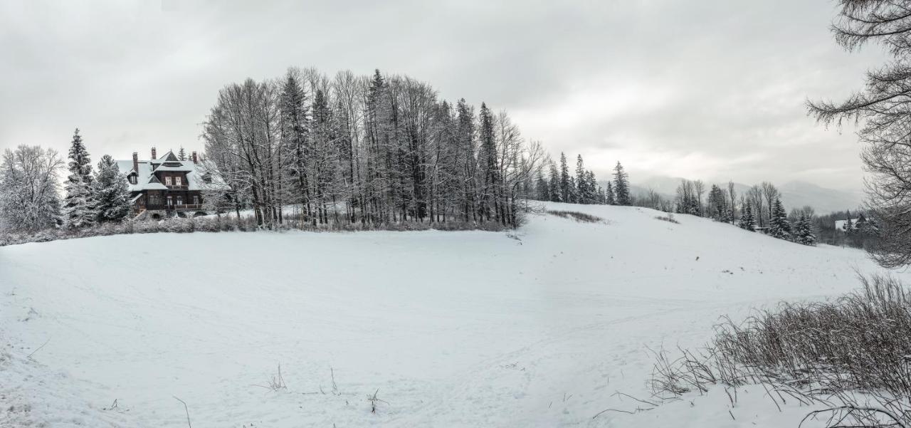 Zakoznami- Willa Wywczas Zakopane Eksteriør bilde